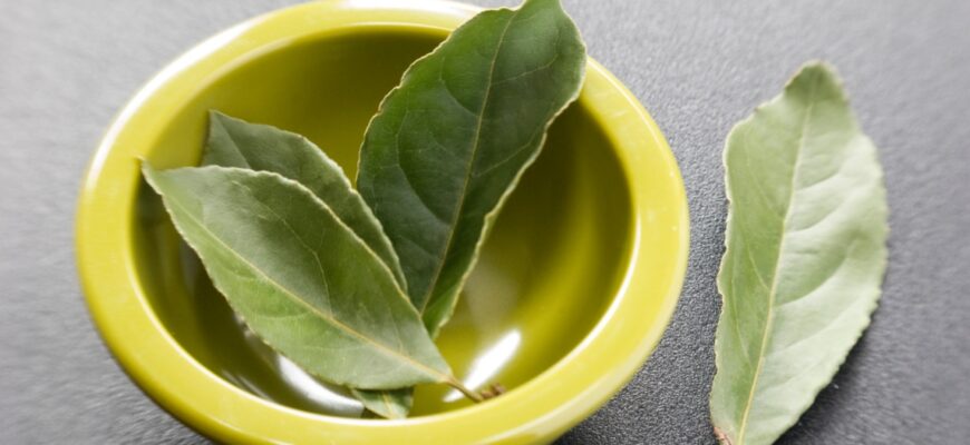 Правильная чистка сосудов лавровым листом в домашних условиях без вреда организма